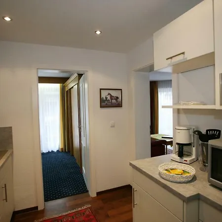 Apartmenthaus Geiger Apartment *